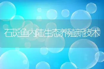 石斑鱼内陆生态养殖新技术