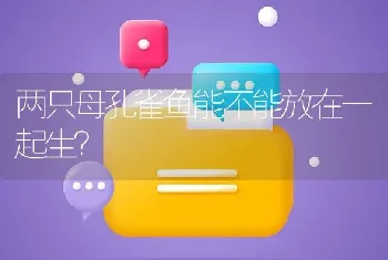 两只母孔雀鱼能不能放在一起生？