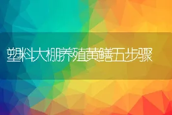 塑料大棚养殖黄鳝五步骤