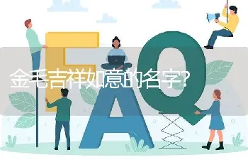 金毛吉祥如意的名字？