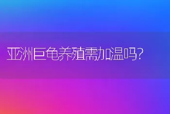 亚洲巨龟养殖需加温吗？