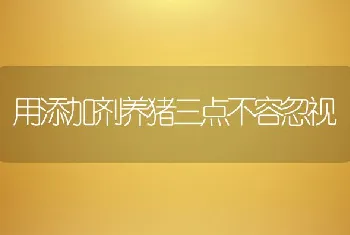 用添加剂养猪三点不容忽视