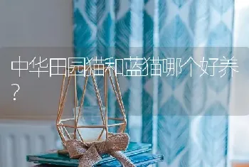 我家德牧2个月大，它耳朵里总是很脏，请问是耳螨吗？怎么解决？