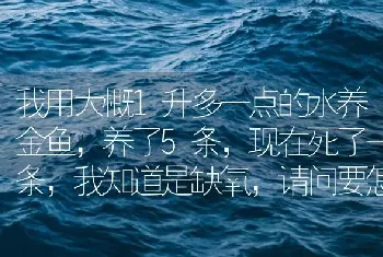 我用大概1升多一点的水养金鱼，养了5条，现在死了一条