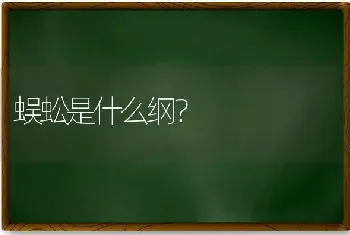 蜈蚣是什么纲？