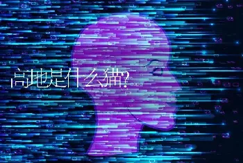 狗脑炎的潜伏期是多久？