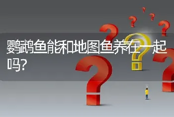 鹦鹉鱼能和地图鱼养在一起吗？