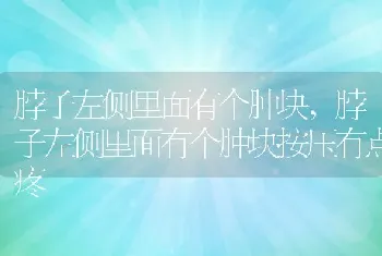 脖子左侧里面有个肿块，脖子左侧里面有个肿块按压有点疼