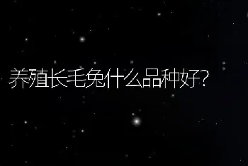 大棚养殖泥鳅技术有哪些