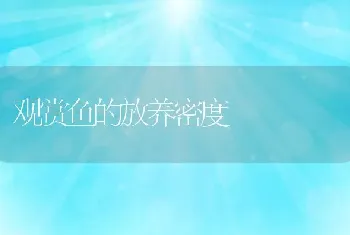 观赏鱼的放养密度