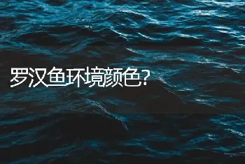 罗汉鱼环境颜色？