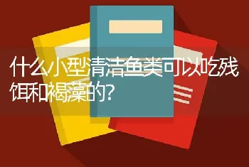 什么小型清洁鱼类可以吃残饵和褐藻的？