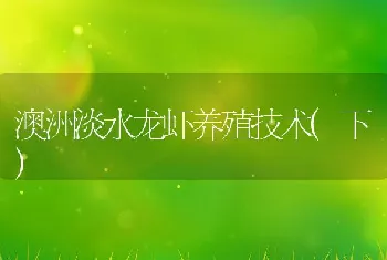 澳洲淡水龙虾养殖技术(下)