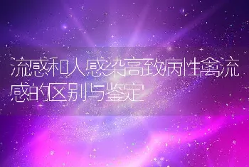 流感和人感染高致病性禽流感的区别与鉴定