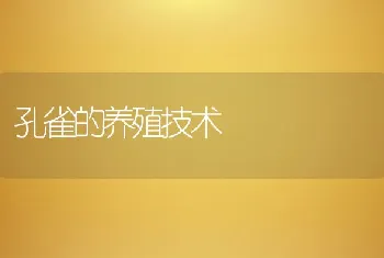 孔雀的养殖技术