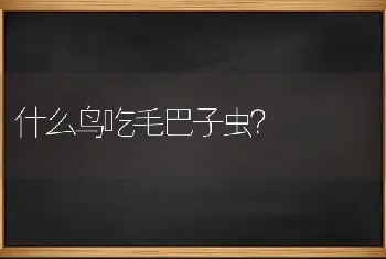 什么鸟吃毛巴子虫？