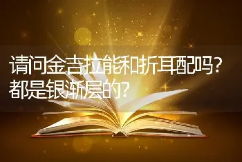 金毛一天吃多少狗粮？