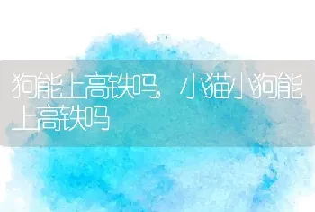 狗狗不吃东西还呕吐没精神怎么办，狗狗不吃东西还呕吐没精神怎么办拉血