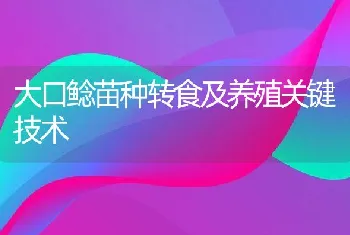 大口鲶苗种转食及养殖关键技术