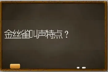 金丝雀叫声特点？