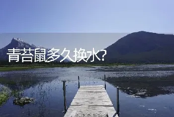 青苔鼠多久换水？