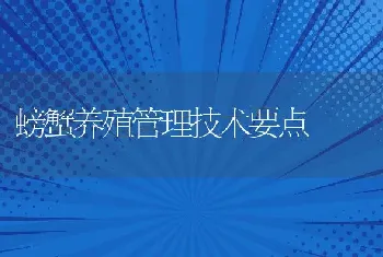 螃蟹养殖管理技术要点