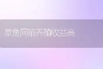 草鱼网箱养殖收益高