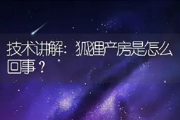 技术讲解:狐狸产房是怎么回事？