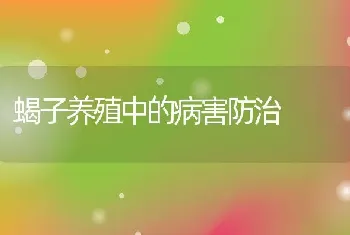 蝎子养殖中的病害防治