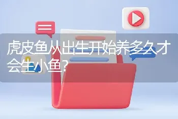 虎皮鱼从出生开始养多久才会生小鱼？