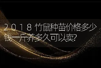 2018竹鼠种苗价格多少钱一斤养多久可以卖?