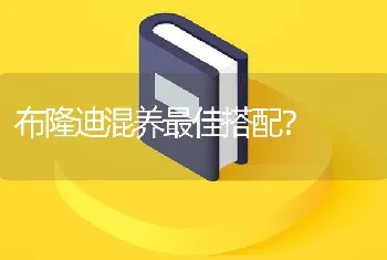 布隆迪混养最佳搭配？