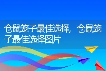 仓鼠笼子最佳选择，仓鼠笼子最佳选择图片