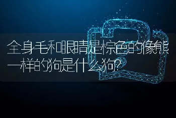 全身毛和眼睛是棕色的像熊一样的狗是什么狗？