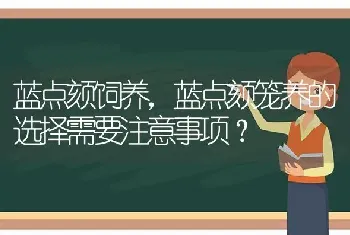 蓝点颏饲养，蓝点颏笼养的选择需要注意事项？