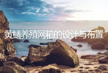 黄鳝养殖网箱的设计与布置