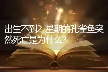 出生不到2星期的孔雀鱼突然死亡是为什么？