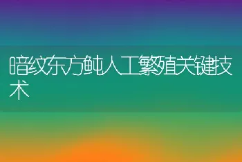 暗纹东方鲀人工繁殖关键技术