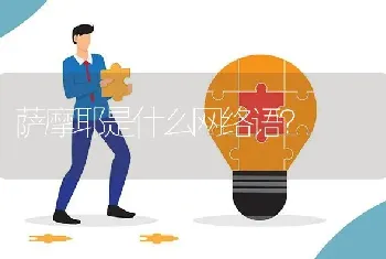 萨摩耶是什么网络语？