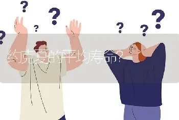 约克夏的平均寿命？