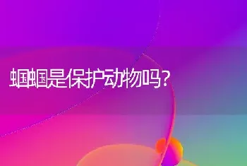 蝈蝈是保护动物吗？