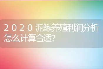 2020泥鳅养殖利润分析怎么计算合适？