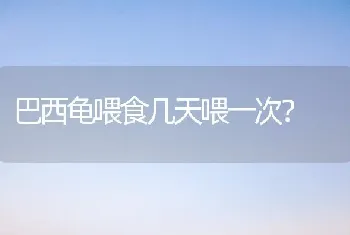 相思鸟是国家二级保护动物吗？