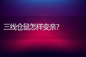 三线仓鼠怎样变亲？