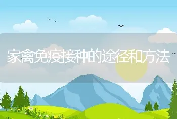 家禽免疫接种的途径和方法