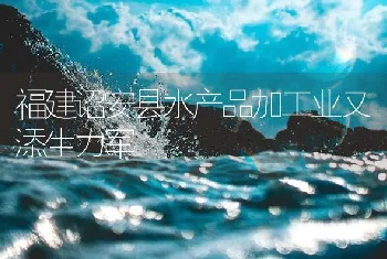 福建诏安县水产品加工业又添生力军