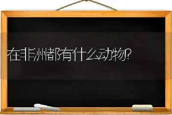 在非洲都有什么动物？