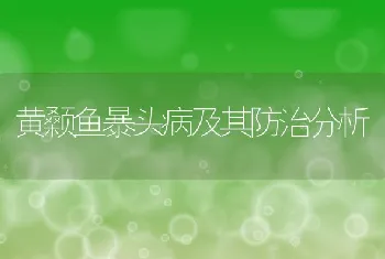 黄颡鱼暴头病及其防治分析