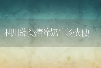 仿自然建池养殖黄鳝技术