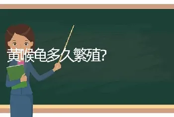 黄喉龟多久繁殖？